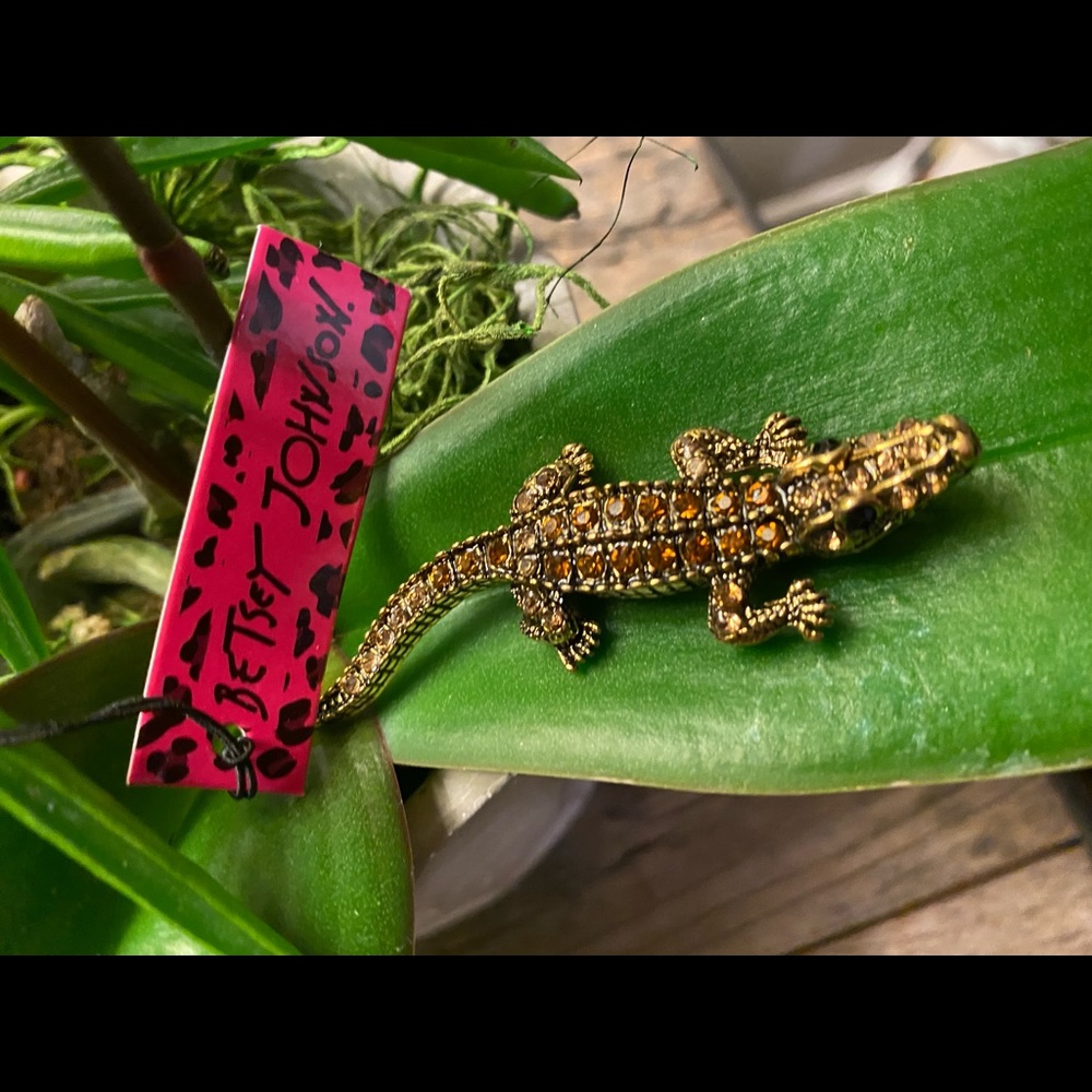 Beautiful Betsy Johnson Brooch